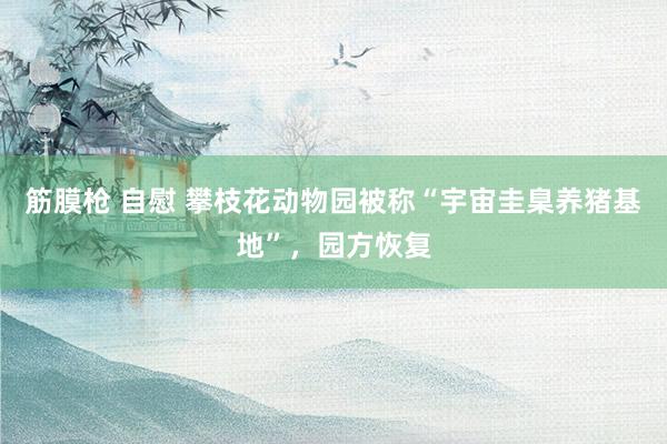 筋膜枪 自慰 攀枝花动物园被称“宇宙圭臬养猪基地”，园方恢复