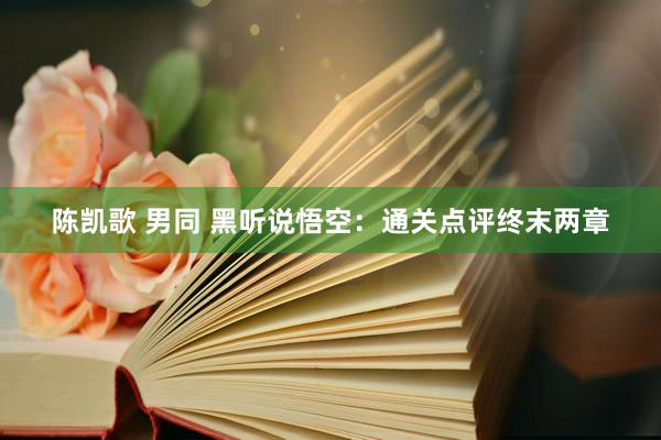 陈凯歌 男同 黑听说悟空：通关点评终末两章