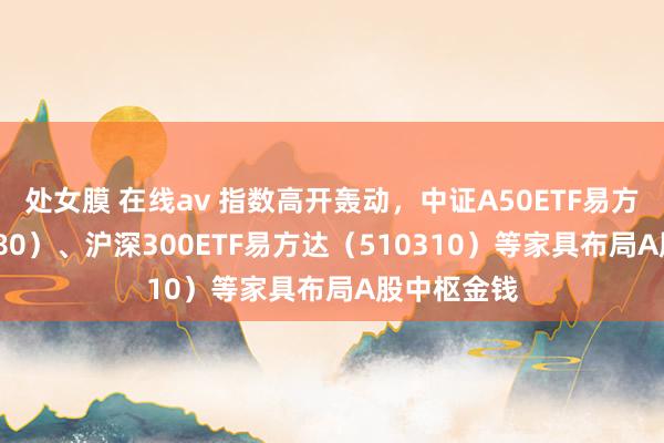 处女膜 在线av 指数高开轰动，中证A50ETF易方达（563080）、沪深300ETF易方达（510310）等家具布局A股中枢金钱