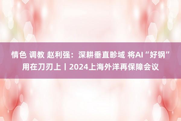 情色 调教 赵利强：深耕垂直畛域 将AI“好钢”用在刀刃上丨2024上海外洋再保障会议
