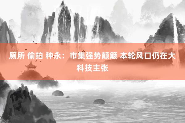 厕所 偷拍 种永:市集强势颠簸 本轮风口仍在大科技主张
