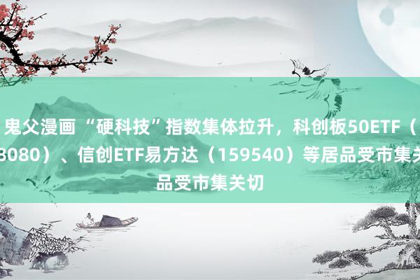 鬼父漫画 “硬科技”指数集体拉升，科创板50ETF（588080）、信创ETF易方达（159540）等居品受市集关切