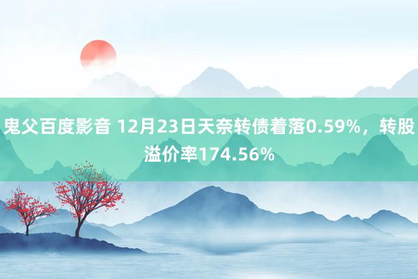 鬼父百度影音 12月23日天奈转债着落0.59%，转股溢价率174.56%