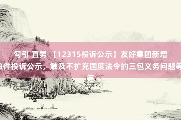 勾引 直男 【12315投诉公示】友好集团新增3件投诉公示，触及不扩充国度法令的三包义务问题等
