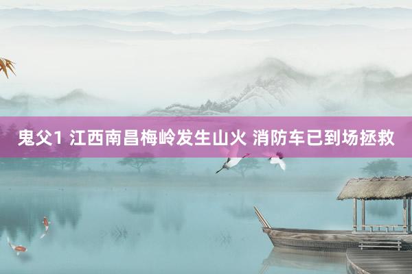 鬼父1 江西南昌梅岭发生山火 消防车已到场拯救