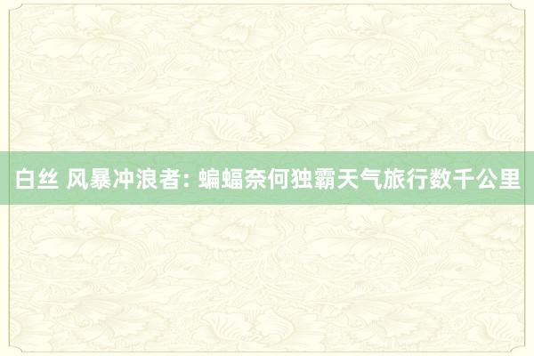 白丝 风暴冲浪者: 蝙蝠奈何独霸天气旅行数千公里