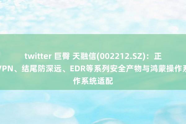 twitter 巨臀 天融信(002212.SZ)：正在激动VPN、结尾防深远、EDR等系列安全产物与鸿蒙操作系统适配