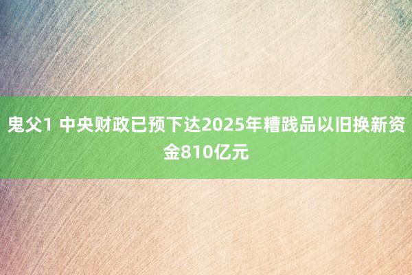 鬼父1 中央财政已预下达2025年糟践品以旧换新资金810亿元
