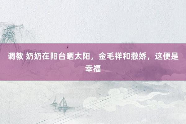调教 奶奶在阳台晒太阳，金毛祥和撒娇，这便是幸福